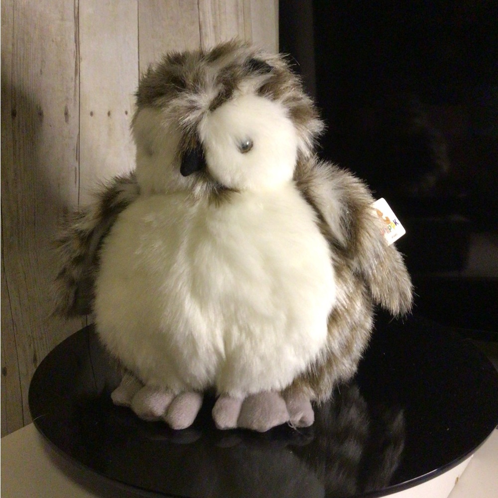 Owl